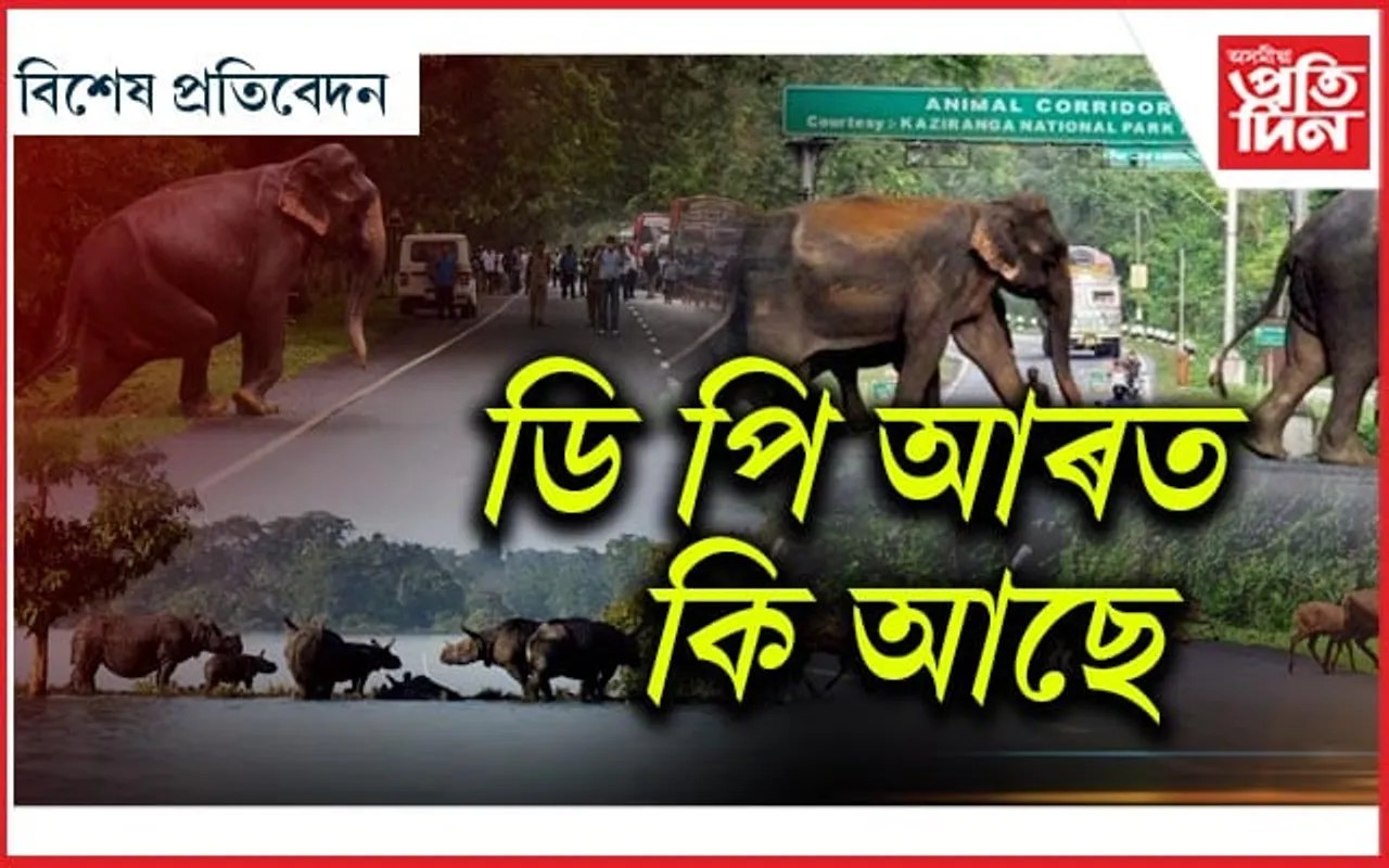কাজিৰঙাৰ এলিভেটেড ফ’ৰলেন প্ৰকল্পৰ সম্ভাৱনা আৰু প্ৰত্যাহ্বান...